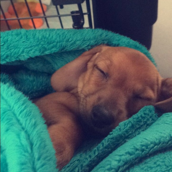 Meet your Posher, Luke - Picture 1 of 1